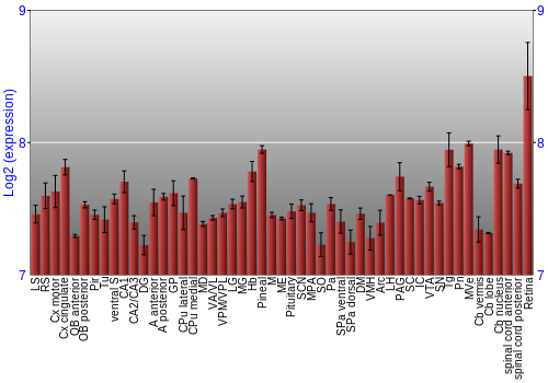 Expression graph