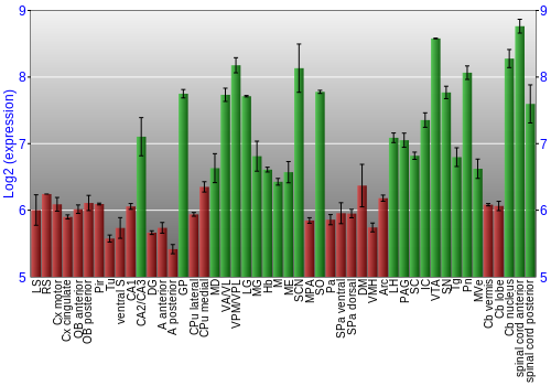 Multi-state expression graph