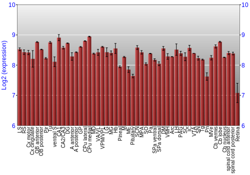 Expression graph