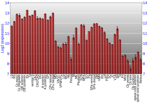 Expression graph