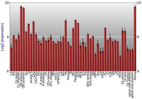 Expression graph