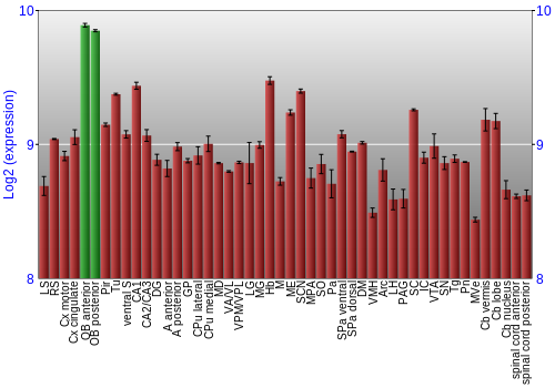 Multi-state expression graph