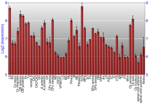 Expression graph