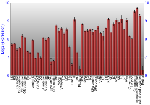 Expression graph
