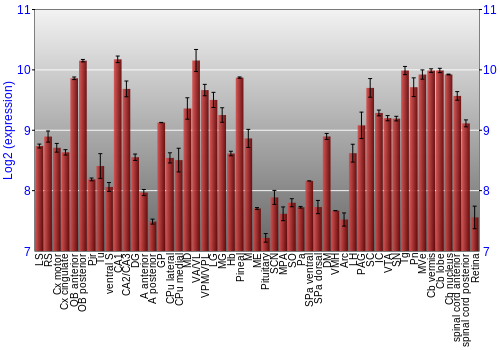 Expression graph