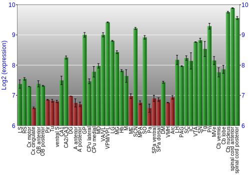Multi-state expression graph
