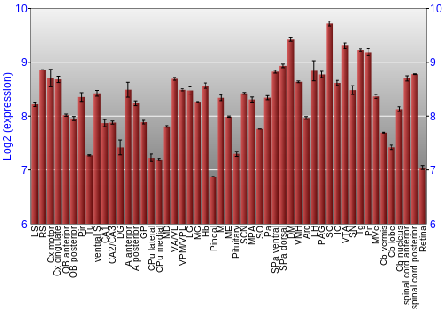 Expression graph