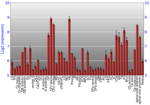 Expression graph