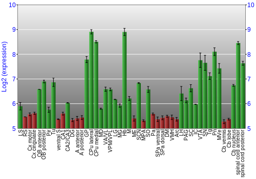 Multi-state expression graph