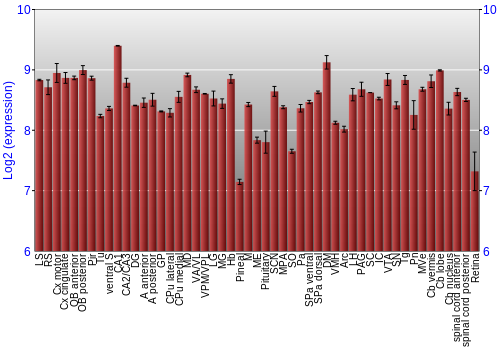 Expression graph