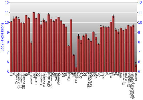 Expression graph