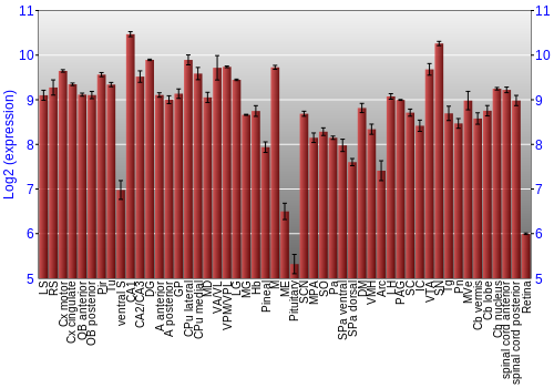 Expression graph