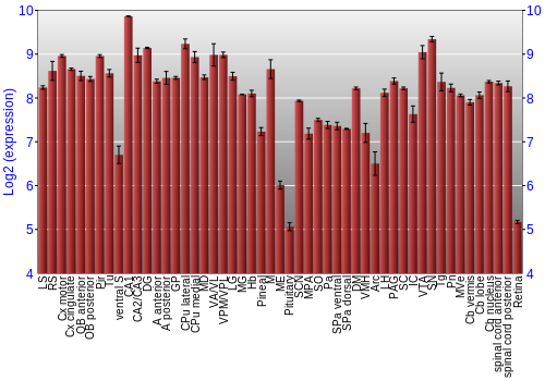 Expression graph