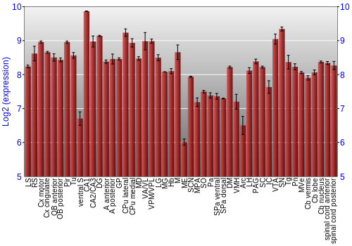Multi-state expression graph