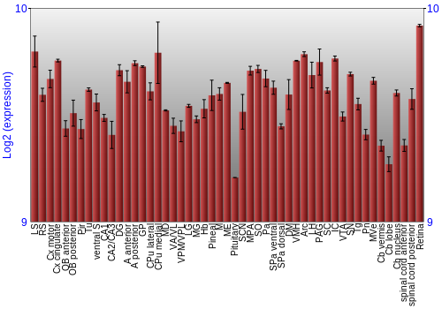 Expression graph