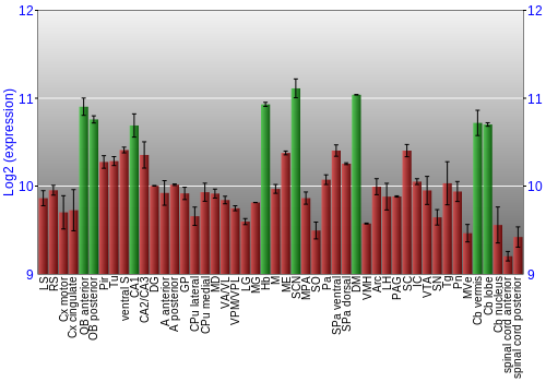 Multi-state expression graph
