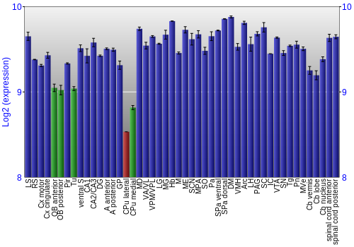 Multi-state expression graph