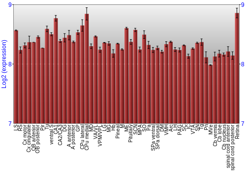 Expression graph