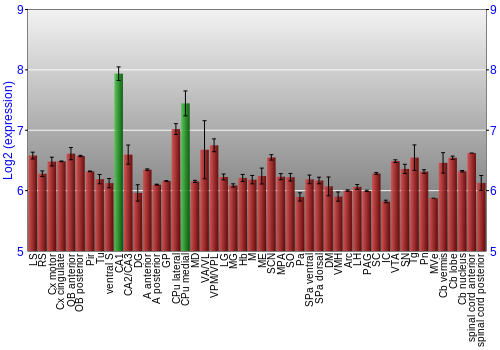 Multi-state expression graph
