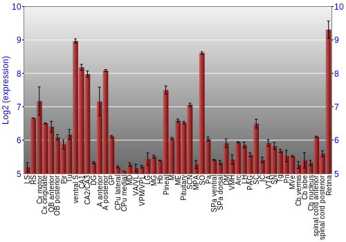 Expression graph