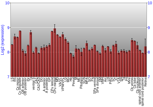 Expression graph