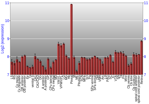 Expression graph
