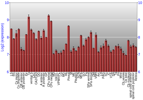 Expression graph