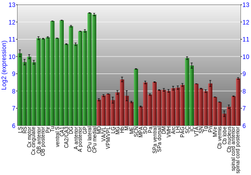 Multi-state expression graph