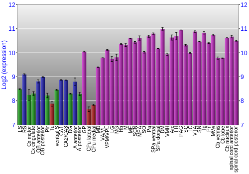 Multi-state expression graph
