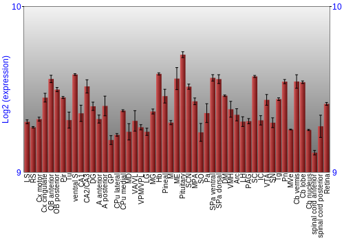 Expression graph