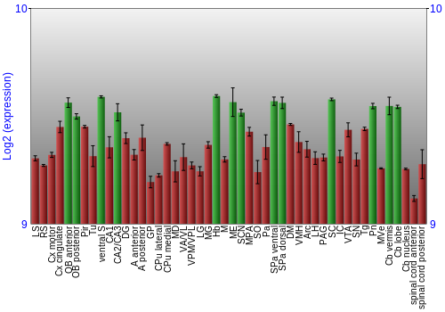 Multi-state expression graph