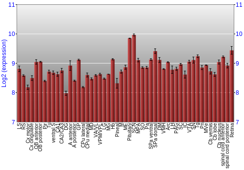 Expression graph