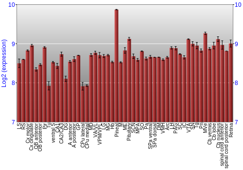 Expression graph