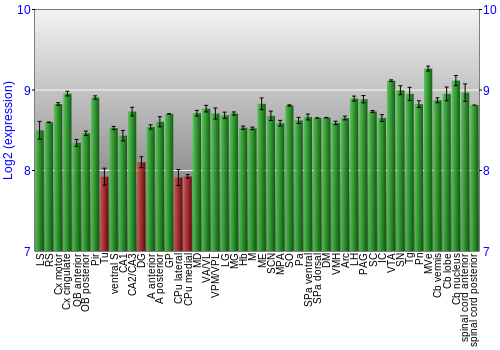 Multi-state expression graph