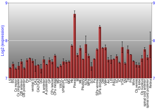 Expression graph