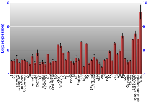 Expression graph