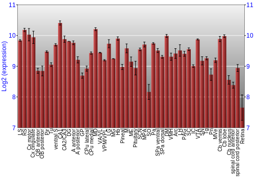 Expression graph