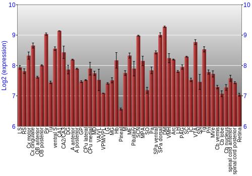 Expression graph
