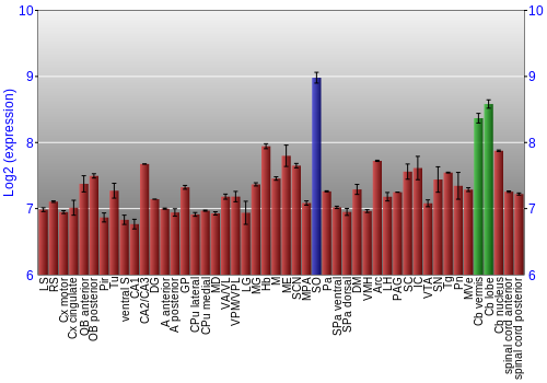Multi-state expression graph