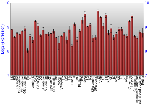 Expression graph