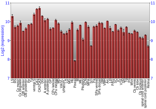 Expression graph