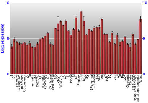 Expression graph