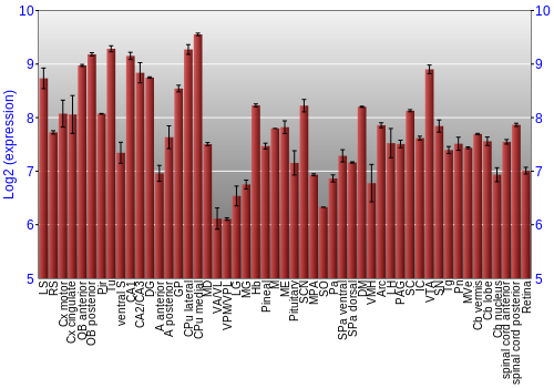 Expression graph
