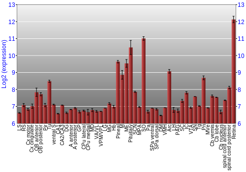 Expression graph