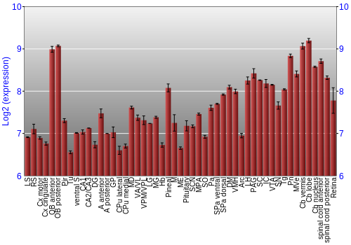Expression graph