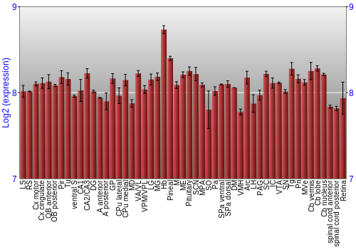 Expression graph