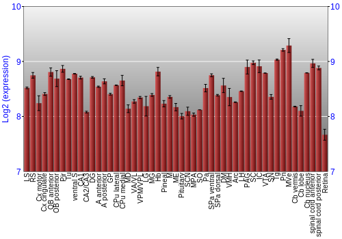 Expression graph