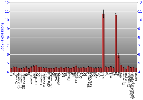 Expression graph
