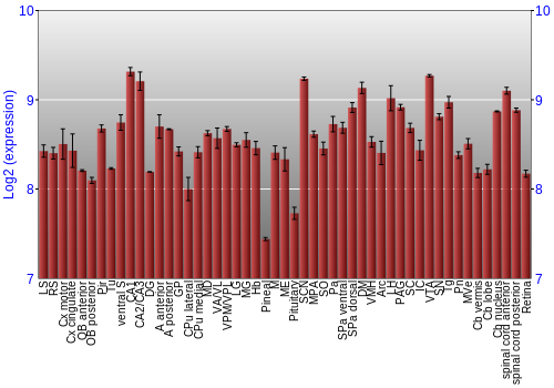 Expression graph