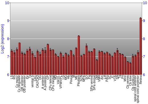 Expression graph
